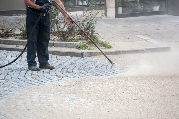 Best Gutter Cleaning  in Kenly, NC